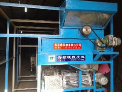 2013年最新型大型核桃脫皮機(jī)